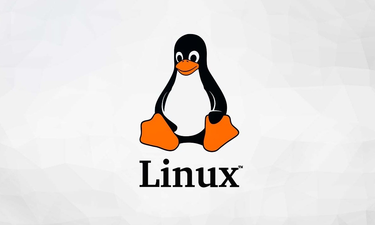 Linux remplazará términos como «master / slave» o «whitelist / blacklist» GNU/Linux