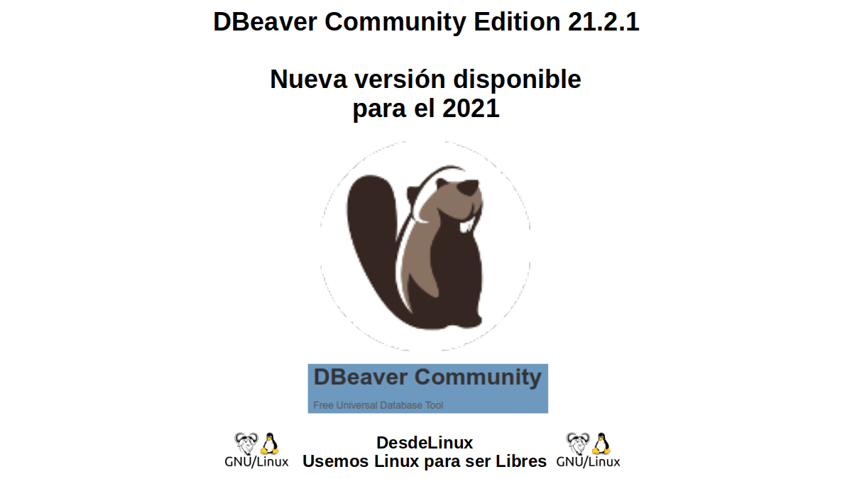 DBeaver Community Edition 21.2.1: Nueva versión disponible para el 2021