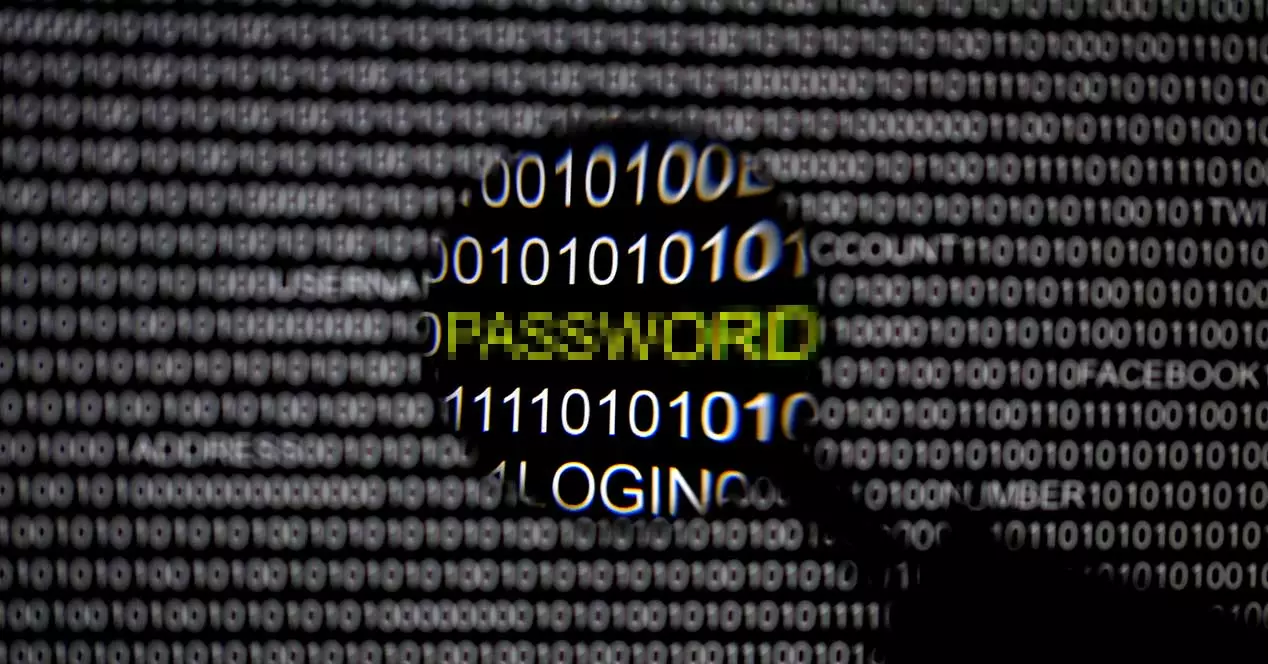 Protege tus criptomonedas: Cómo mejorar seguridad y claves ADSLZone