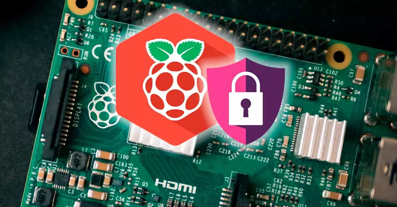 Raspberry Pi seguridad